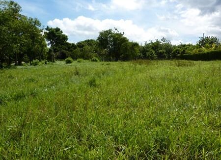 220_oceanviewlot3