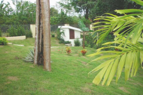 71263828091-592x444-1