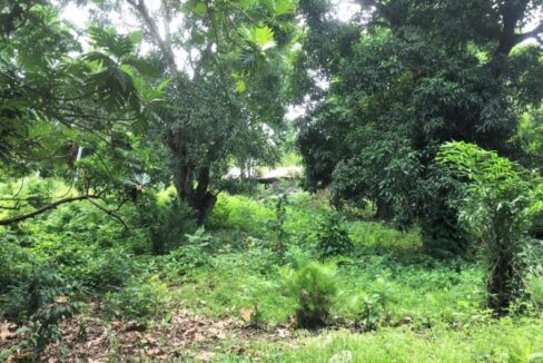 Affordable-Land-For-Sale-in-Munoz-Puerto-Plata2-850x530-1