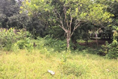 Affordable-Land-For-Sale-in-Munoz-Puerto-Plata5-850x530-1