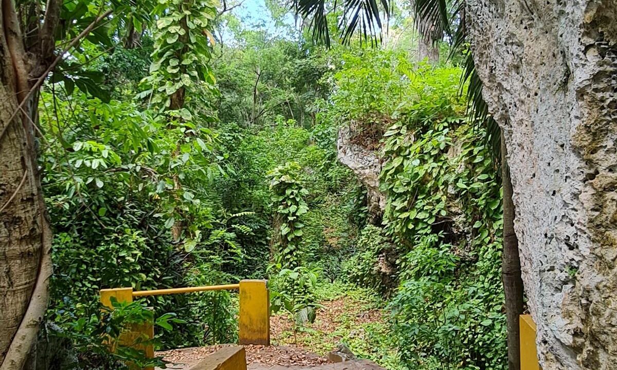 Beach-Trail-2