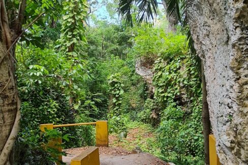 Beach-Trail-2