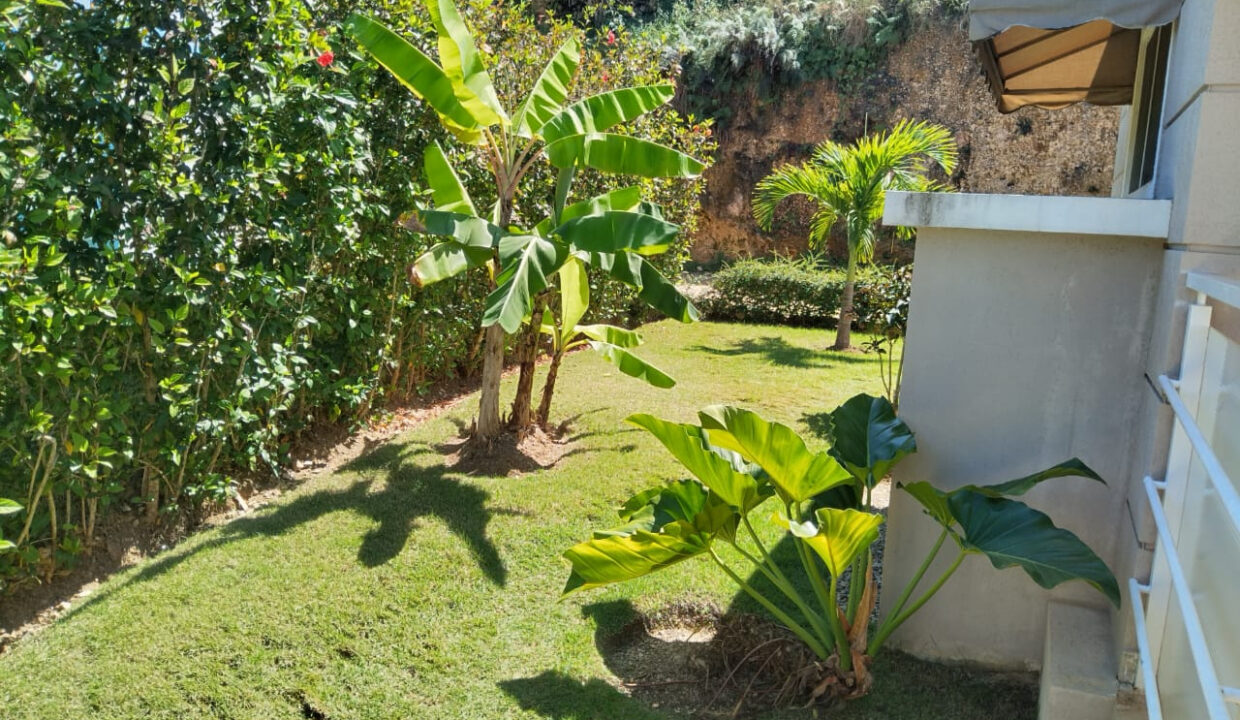 Exterior-Yard-2