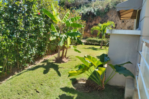 Exterior-Yard-2