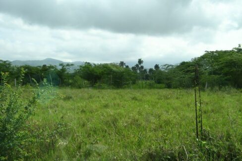 Farm_North-Coast-Puerto-Plata-Cruce-de-Sosua-y-Puerto-Plata_6151-1