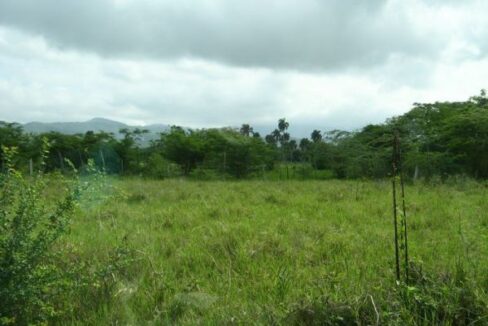 Farm_North-Coast-Puerto-Plata-Cruce-de-Sosua-y-Puerto-Plata_6151