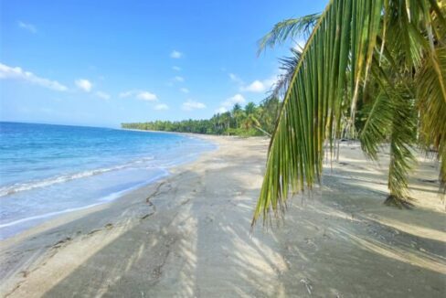 Grandiose-Beachfront-Property-for-sale-Gaspar-Hernandez-555x400-1