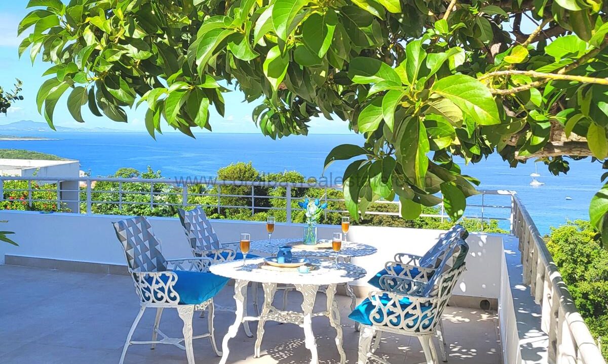 TERRACE_MAIN_01