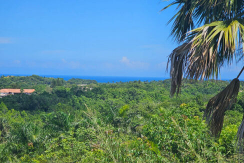 buydrproperty.com-L-5830-PV-a-592x444-1