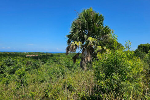 buydrproperty.com-L-5830-PV-e-592x444-1
