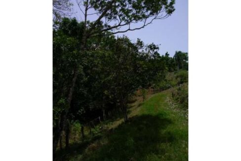 IMG_20180808_122504428w600h450fill-to-fitFFFFFFsrc-altnoimage2