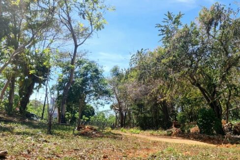 20230425_180916-1200x720