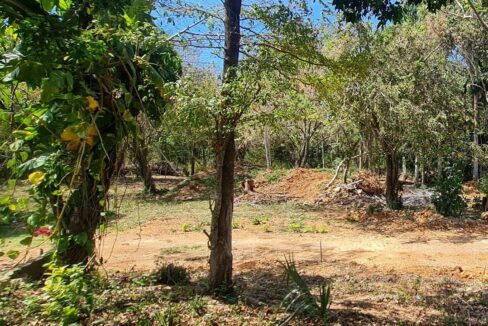 20230425_180944-1200x720