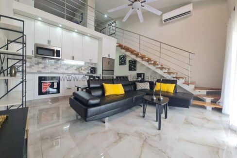 20241015_131251-1024x683