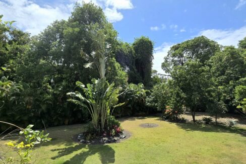 20250529_143000-1200x720