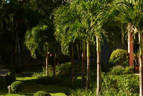 7-DSC_0527-Custom-1240x720