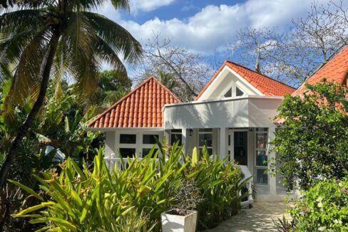 Back-Yard-1-1164x720