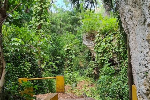 Beach-Trail-2-1200x720