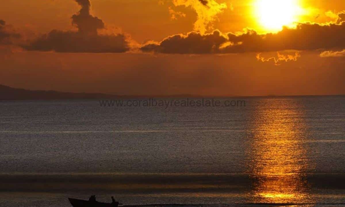 FB_IMG_1543886842758