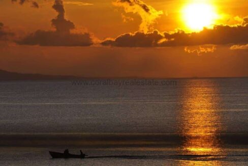 FB_IMG_1543886842758