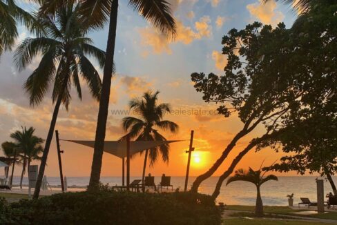 Sunset-26-05-20-Custom