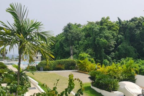 red-20240726_105511-1200x720