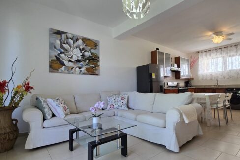 red-20241206_122855-1240x720