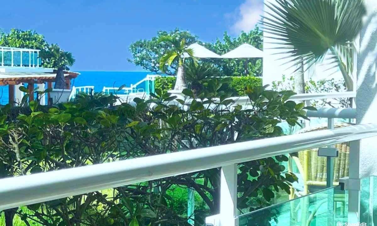 snapedit_1744581936274