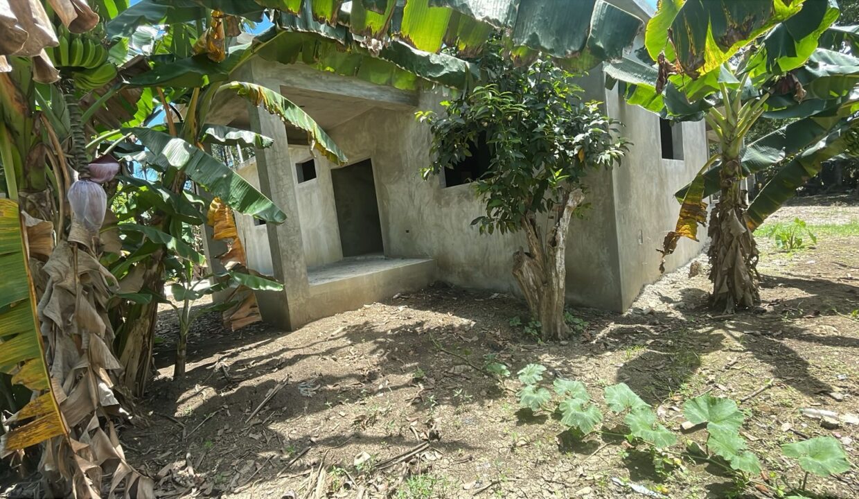 Veragua 8