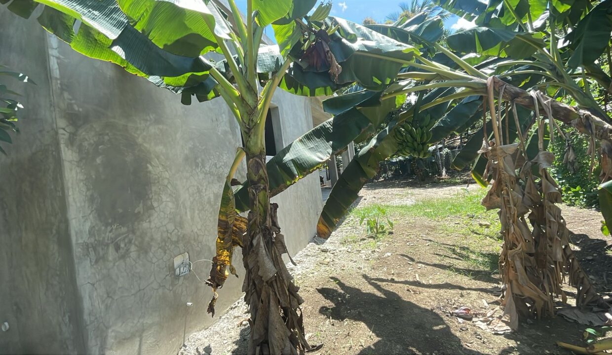 Veragua Side View 2